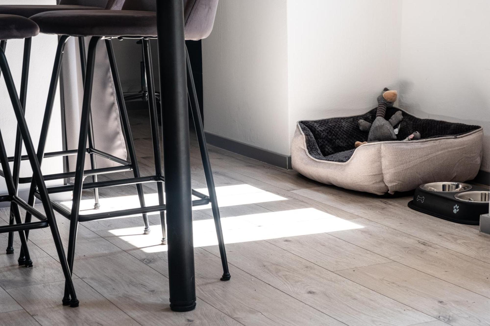 Il Camino Apartment Опатия Екстериор снимка